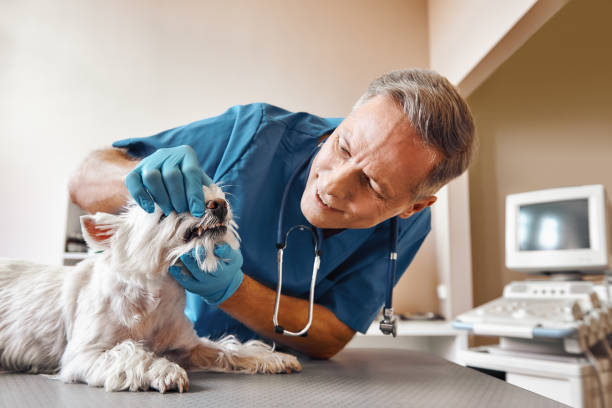 Best Emergency Tooth Extraction in Manchaca, TX