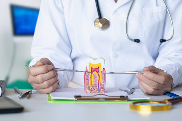 Best Emergency Tooth Extraction in Manchaca, TX